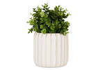 Cache-pots Dryden