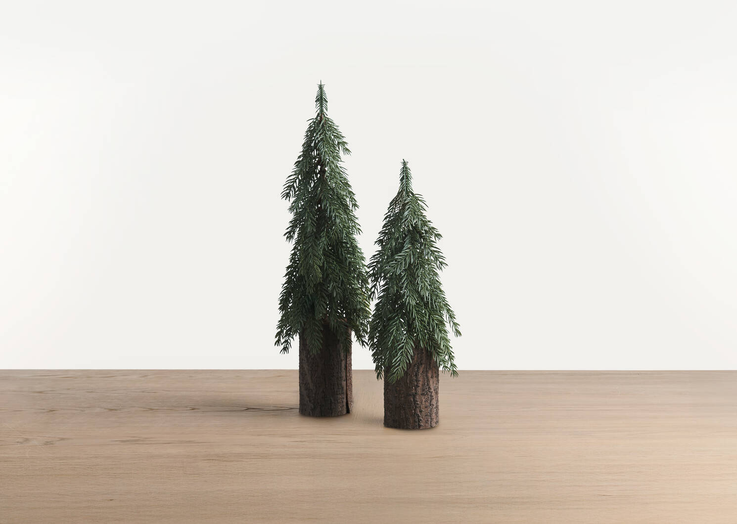 Sapins de Noël Seymour