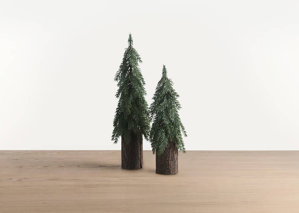 Petit sapin Seymour