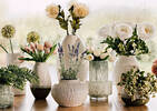 Genelle Vase Tall