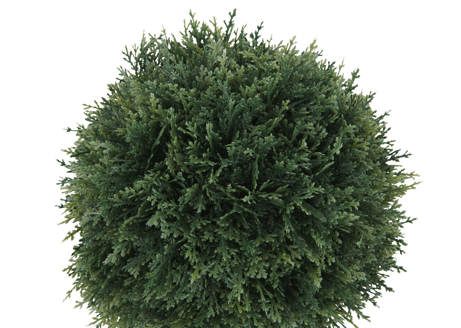 Boule de cèdre en pot Cedar Ball