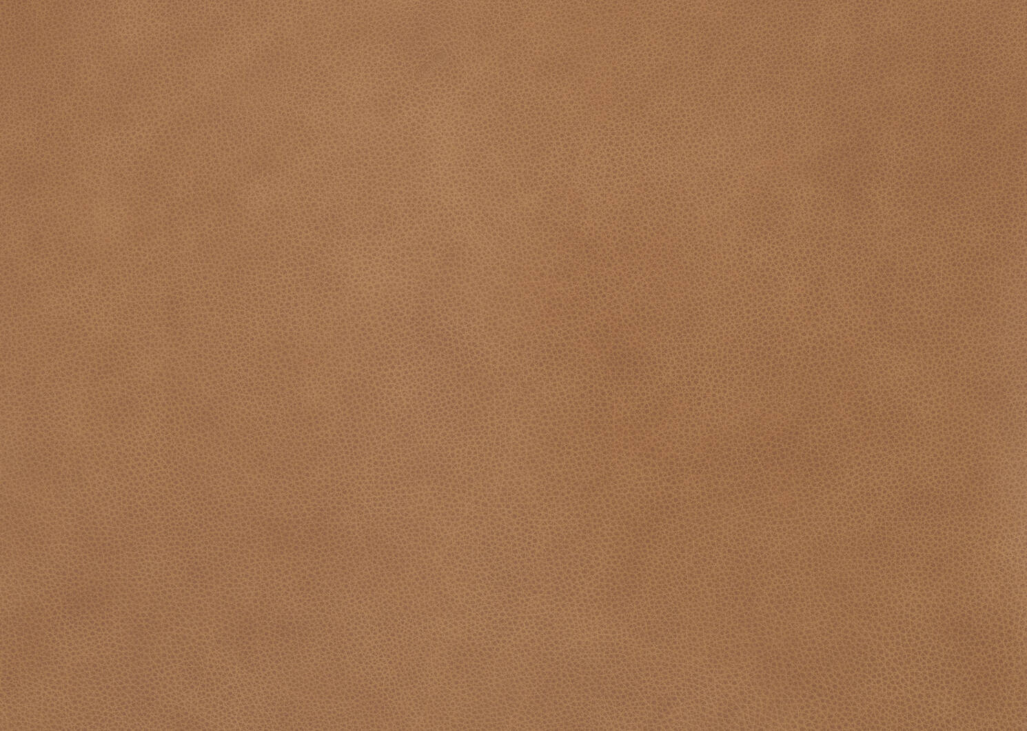 Chaise en cuir Maurizio -Torino argile