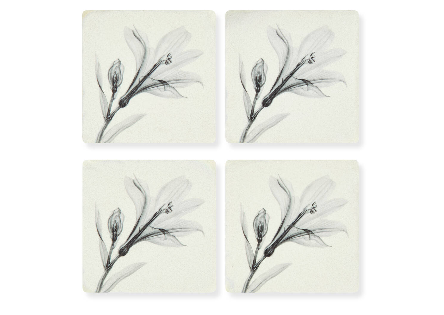 Floral Coaster Set