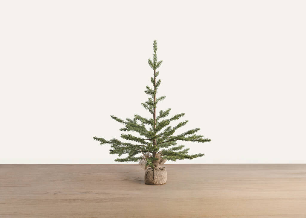 Petit arbre en pot Fernie