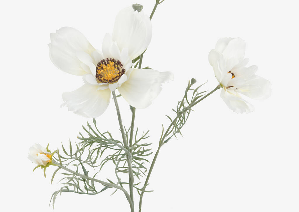 Elana Anemone Stem White